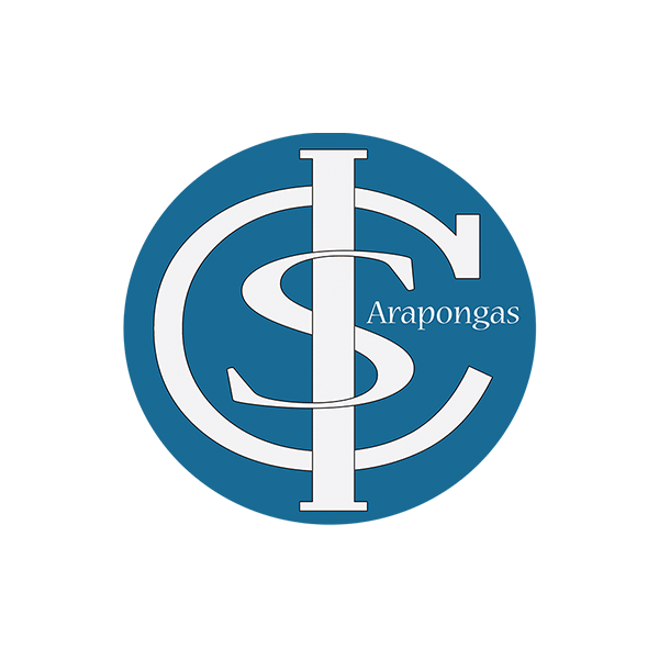 Santa Casa de Arapongas Logo